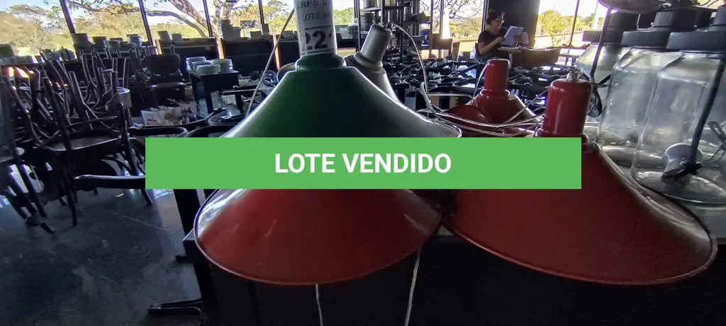 LOTE 221