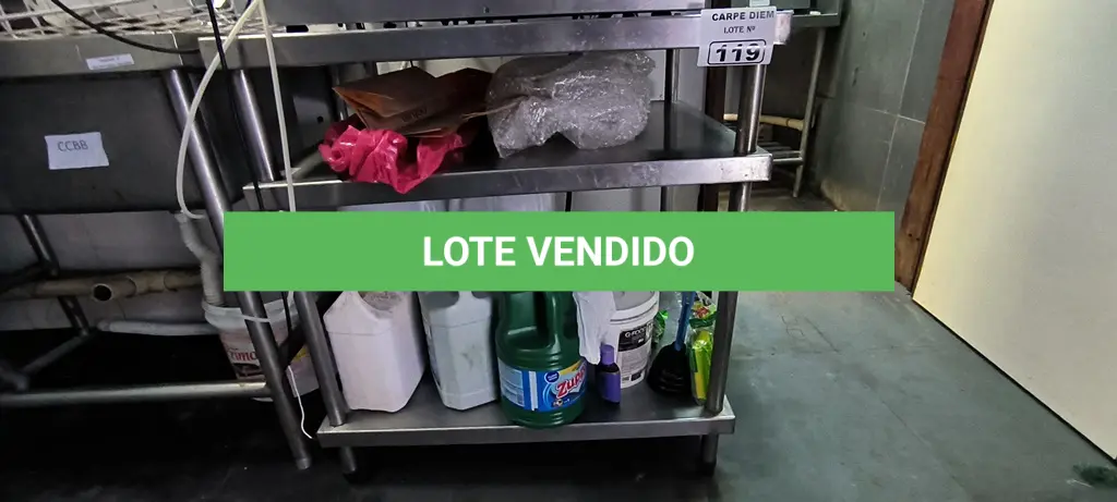 LOTE 119