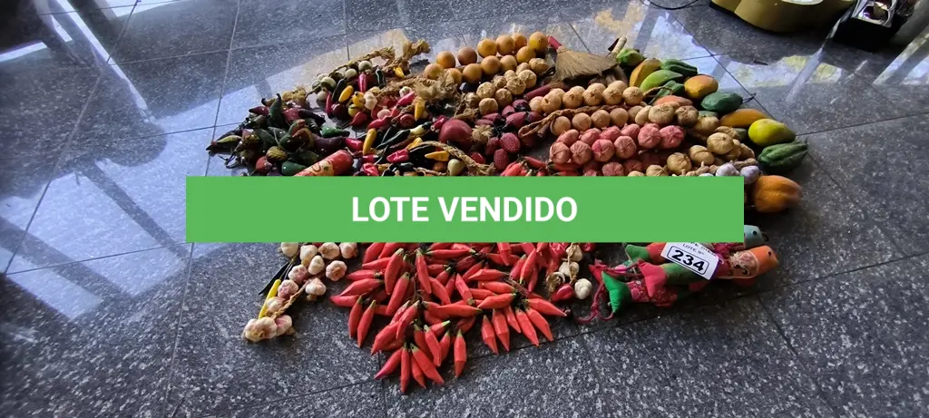 LOTE 234