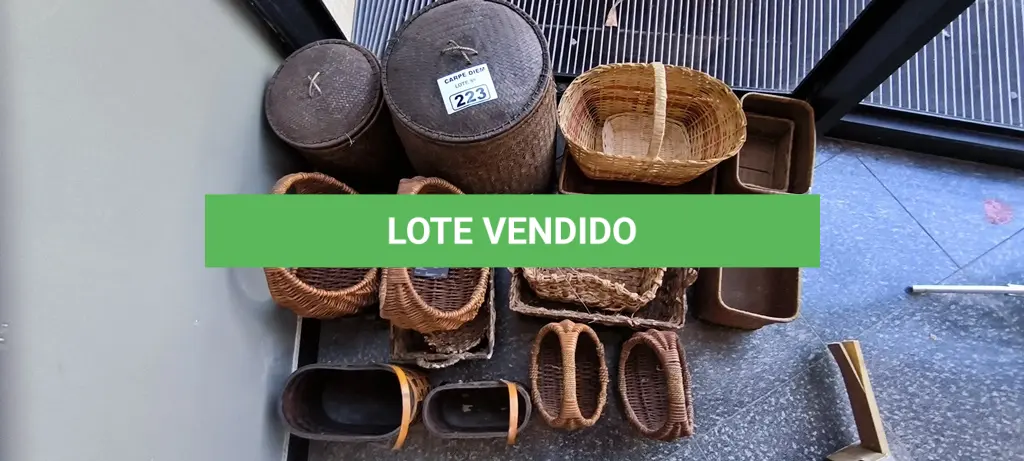 LOTE 223