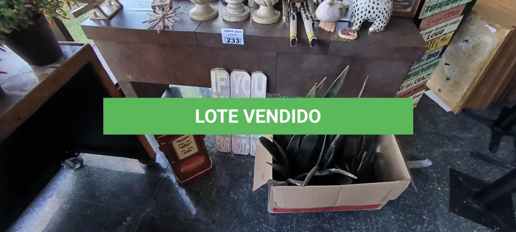 LOTE 241