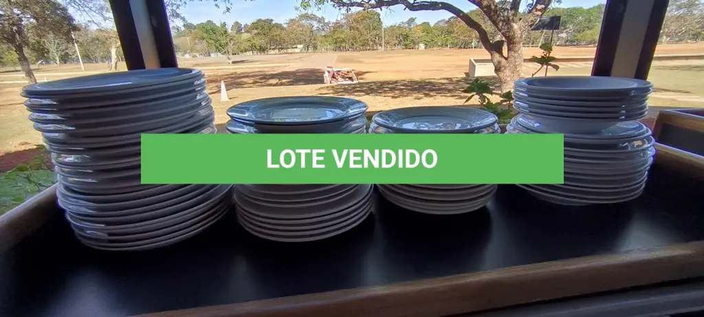 LOTE 244