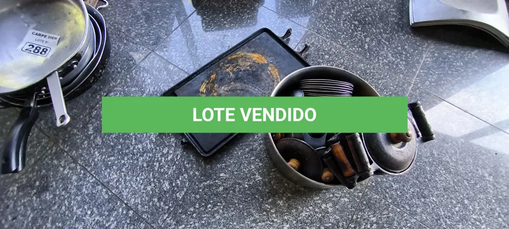 LOTE 289