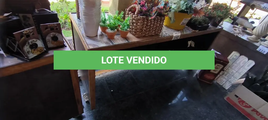 LOTE 232