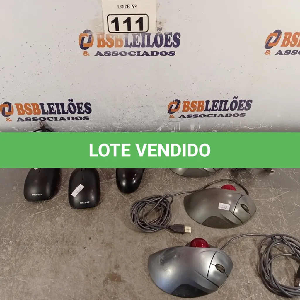 LOTE 111
