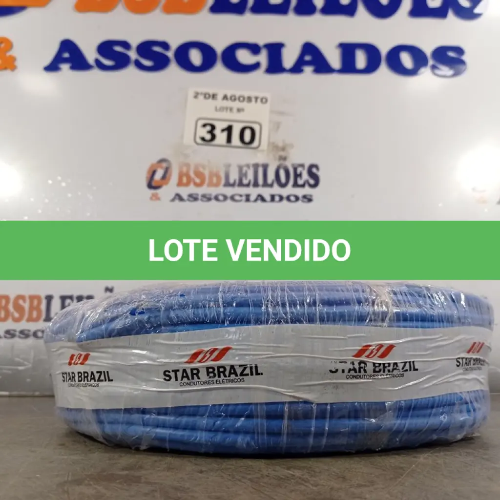 LOTE 310