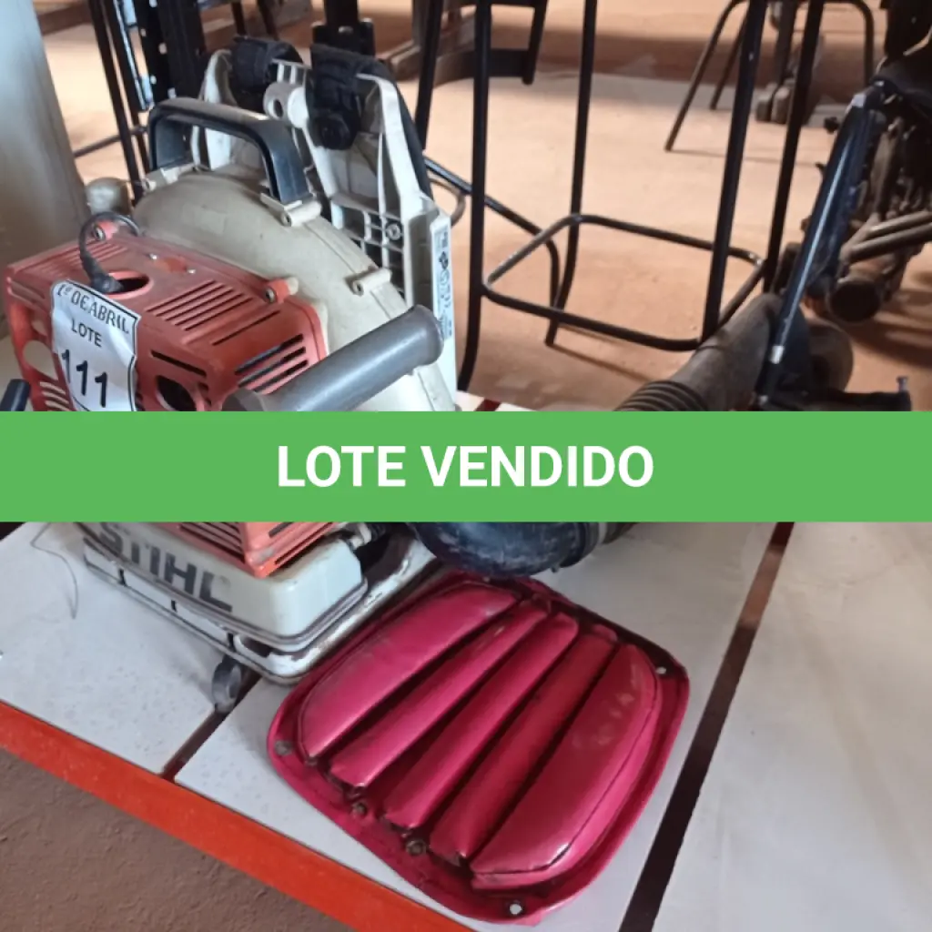 LOTE 111