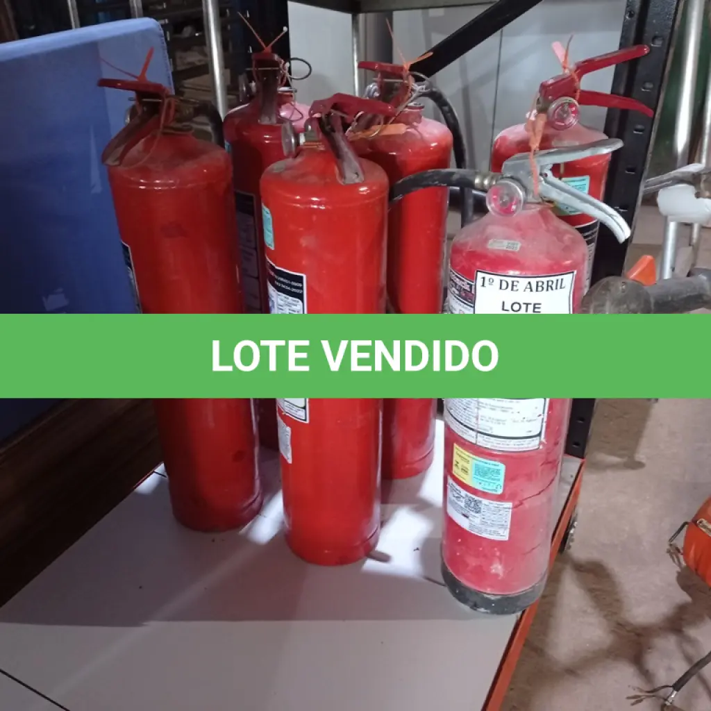 LOTE 338