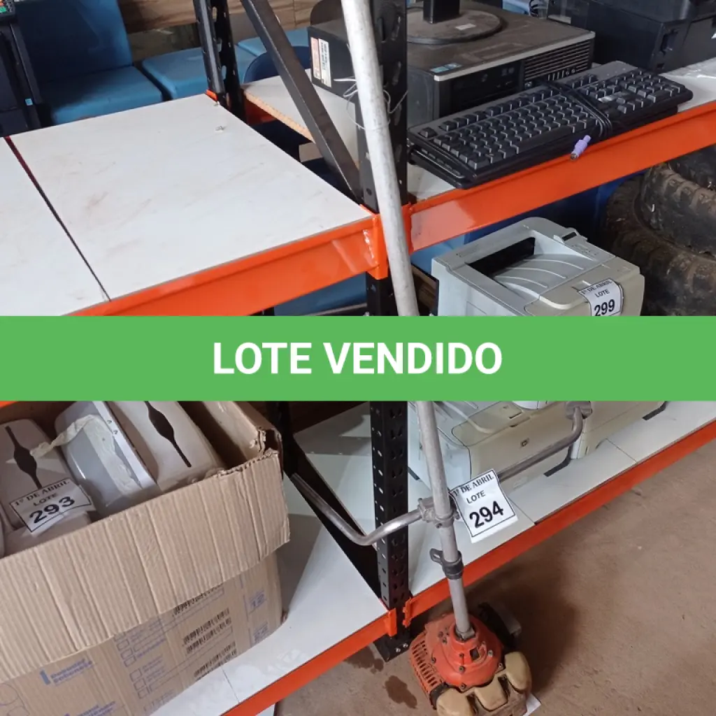 LOTE 294