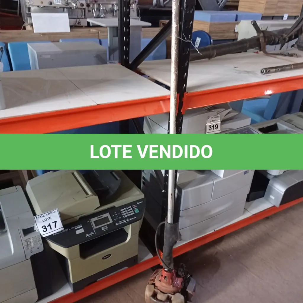 LOTE 318