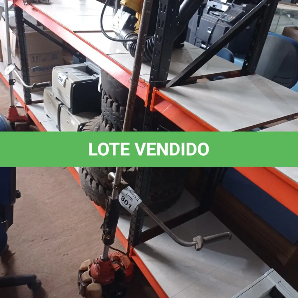 LOTE 301