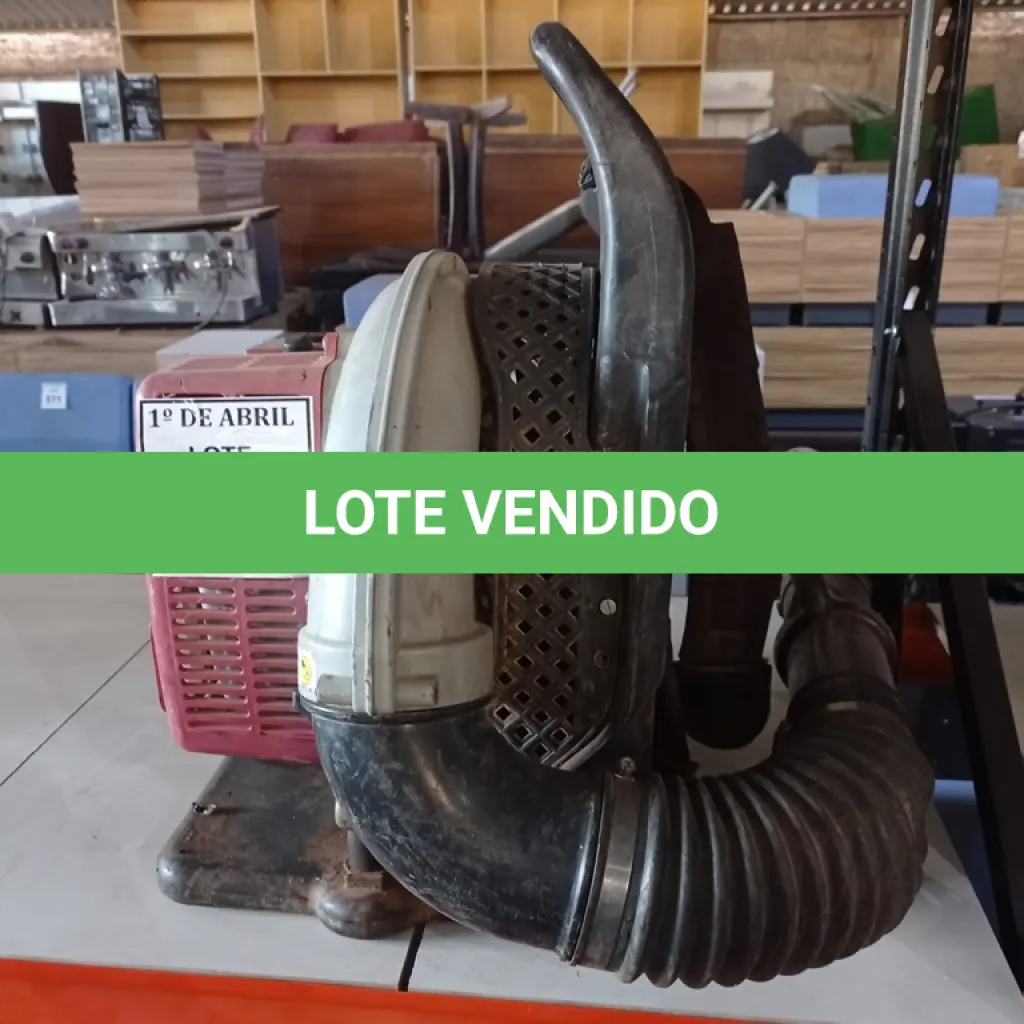 LOTE 329