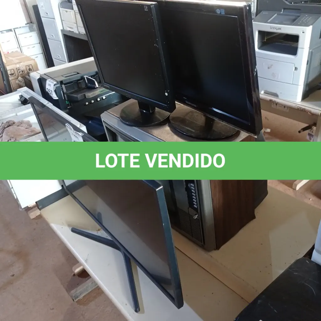 LOTE 256