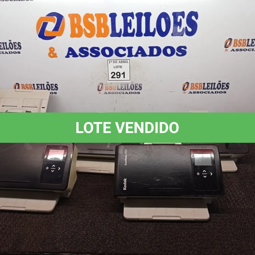 LOTE 291