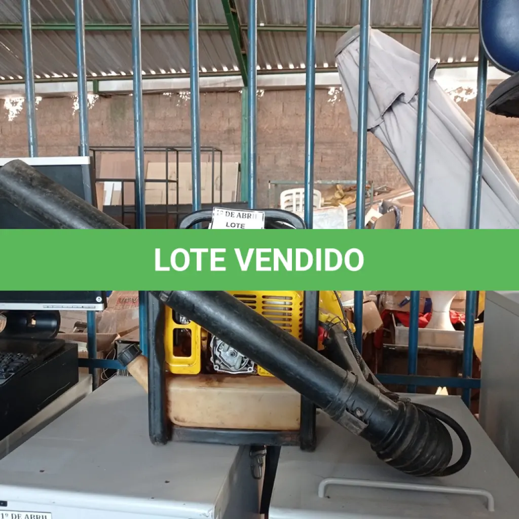 LOTE 199