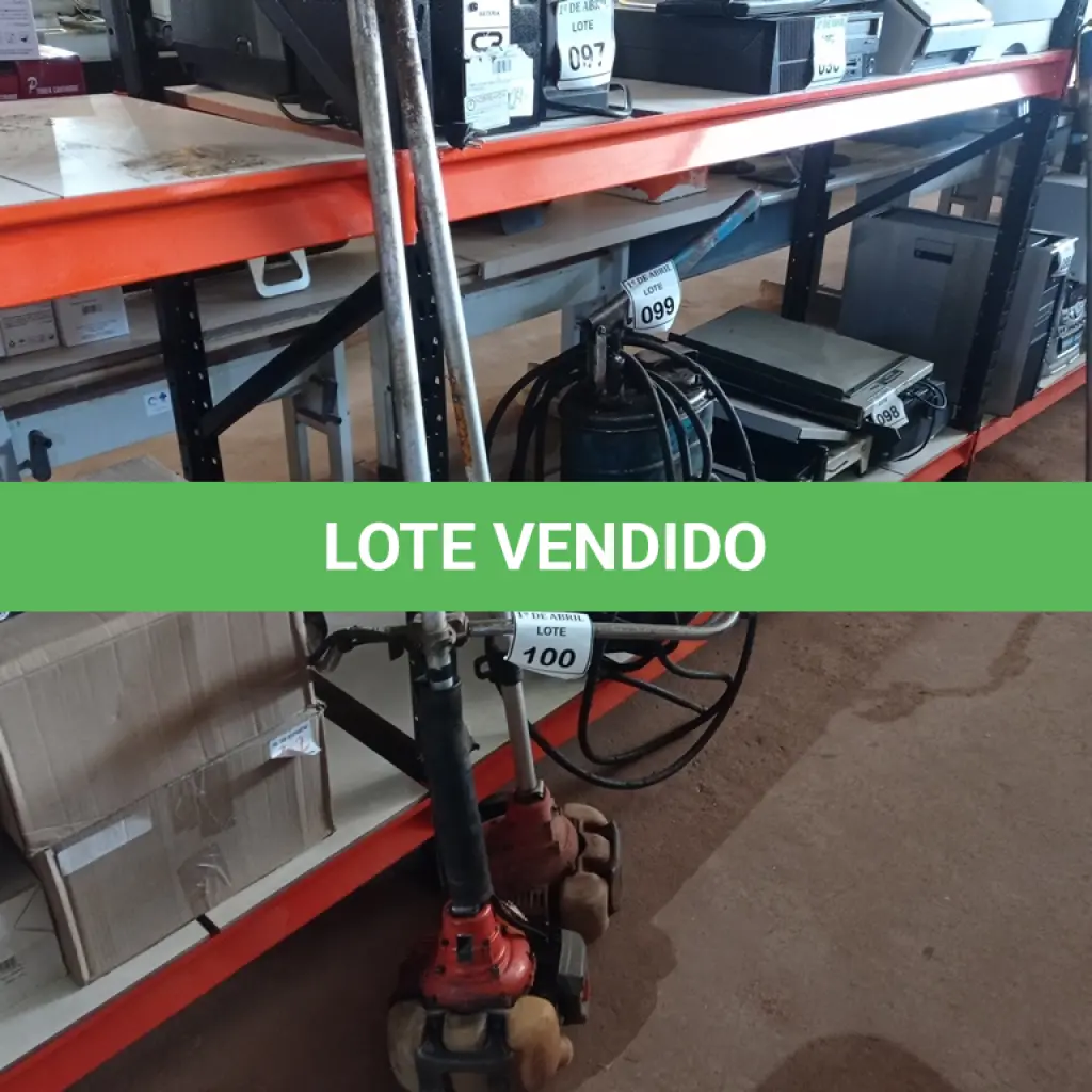 LOTE 100