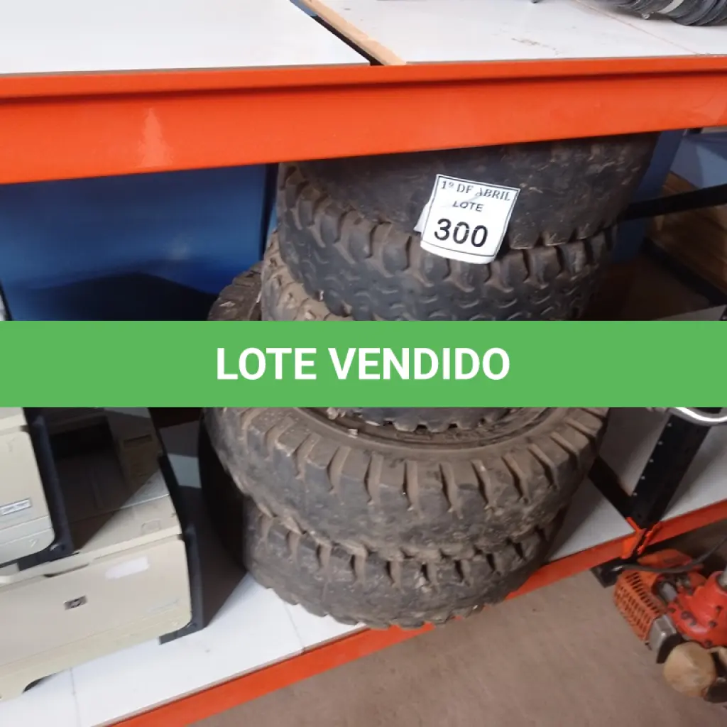 LOTE 300