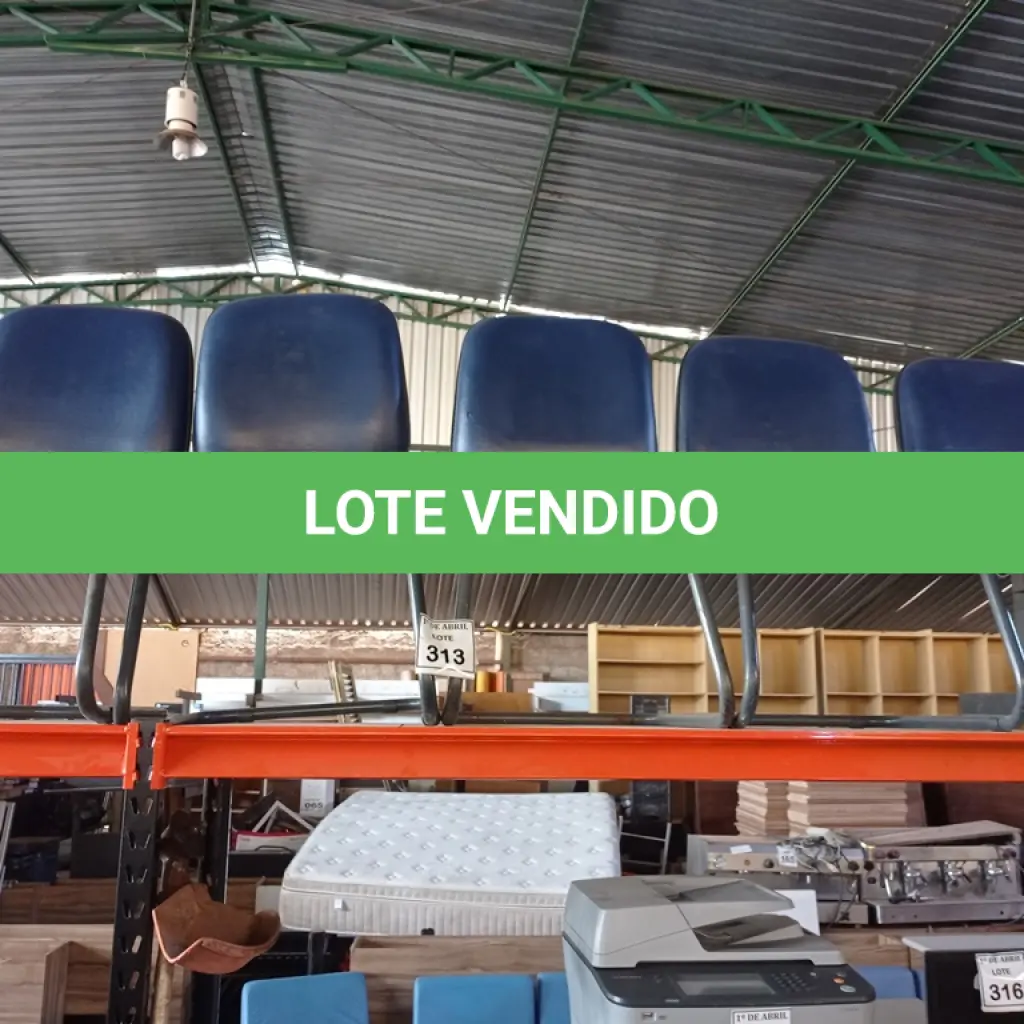 LOTE 313