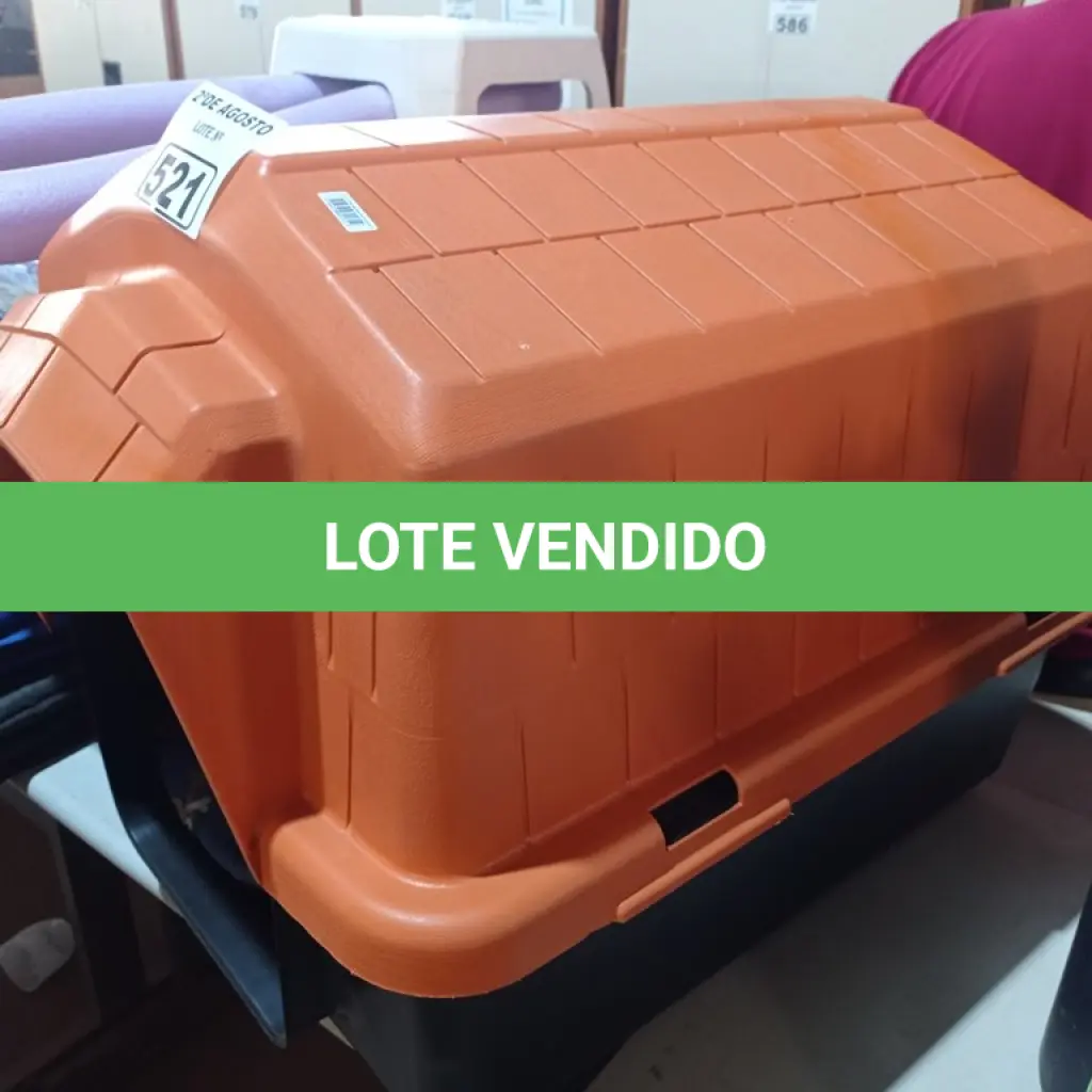 LOTE 521
