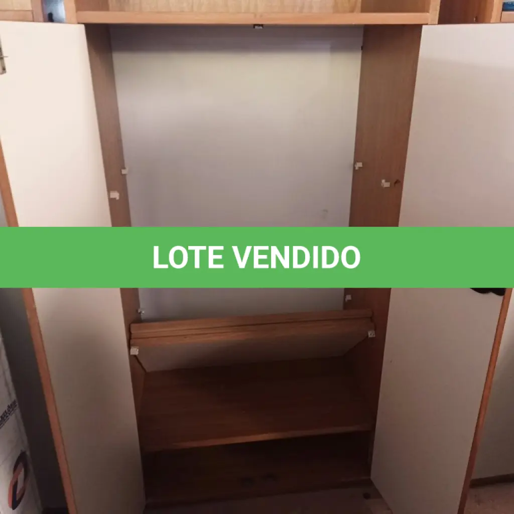 LOTE 597