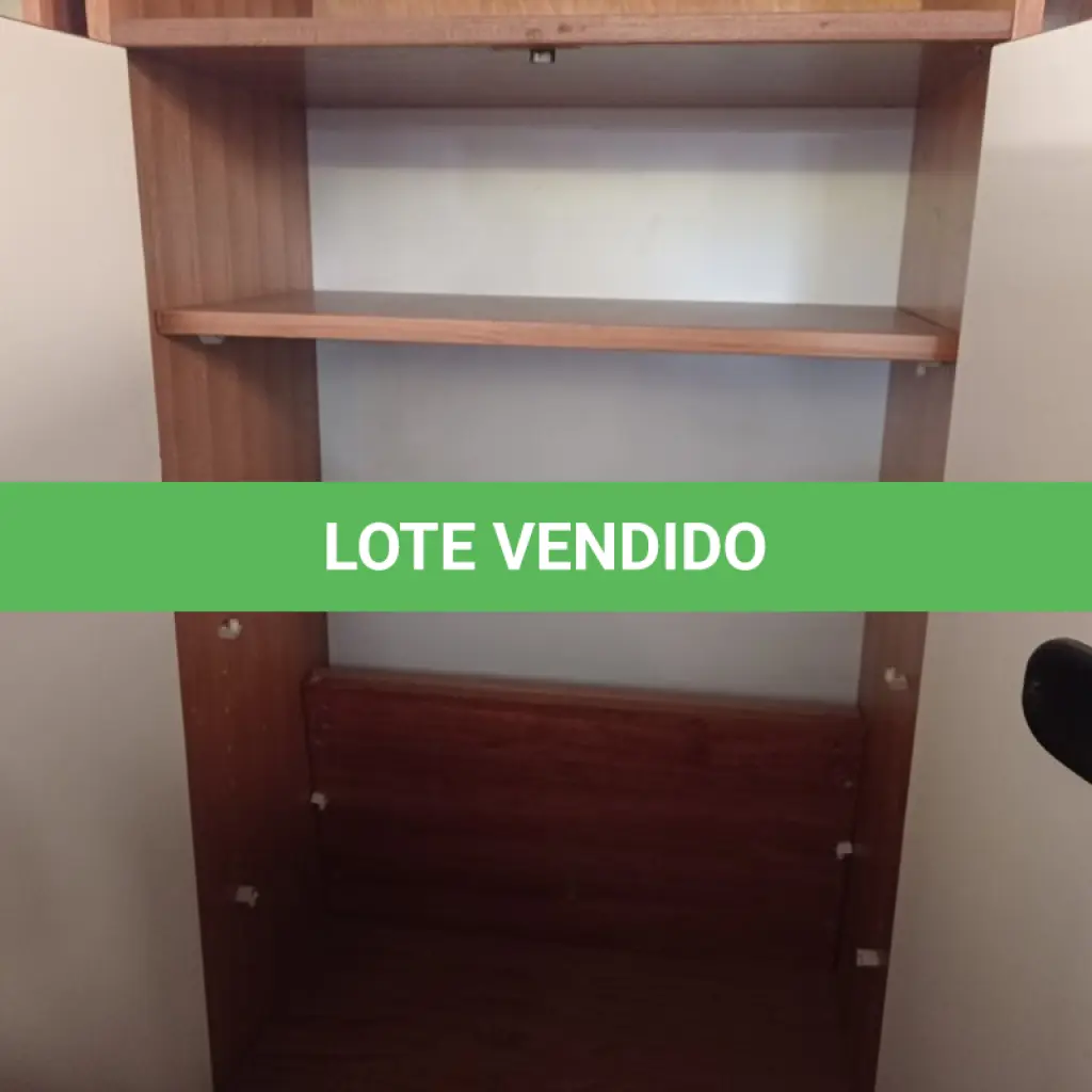 LOTE 586