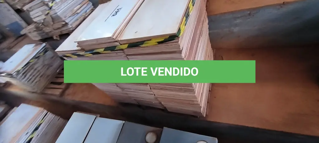 LOTE 041