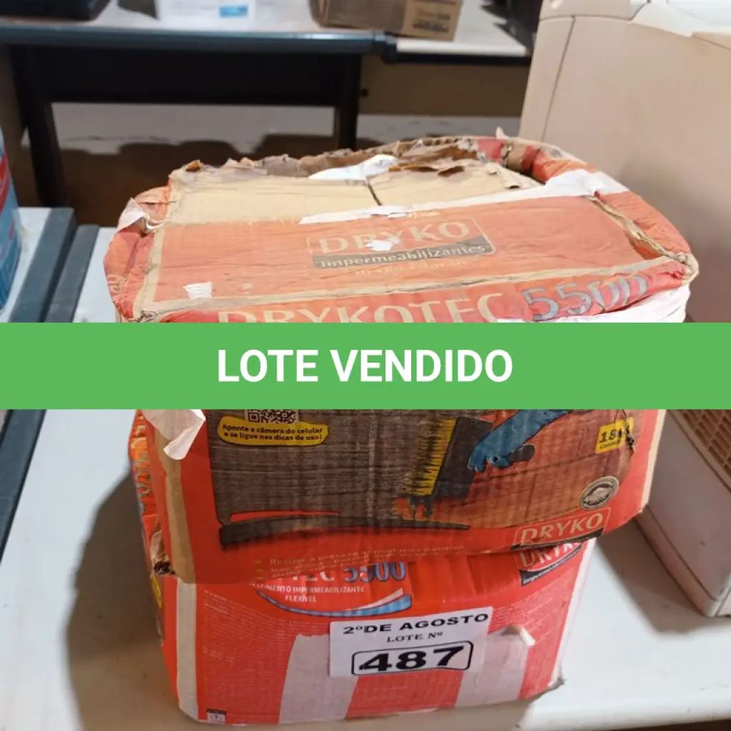 LOTE 487
