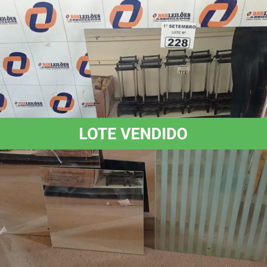 LOTE 228