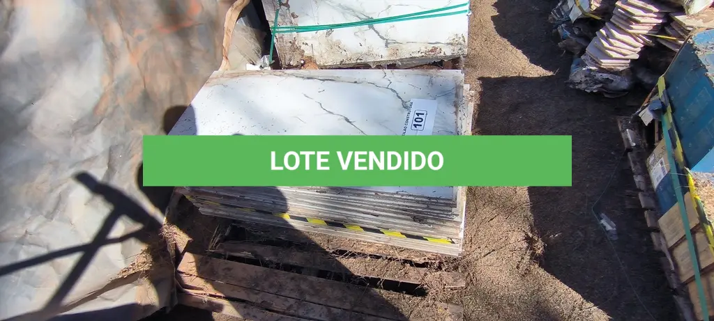 LOTE 101