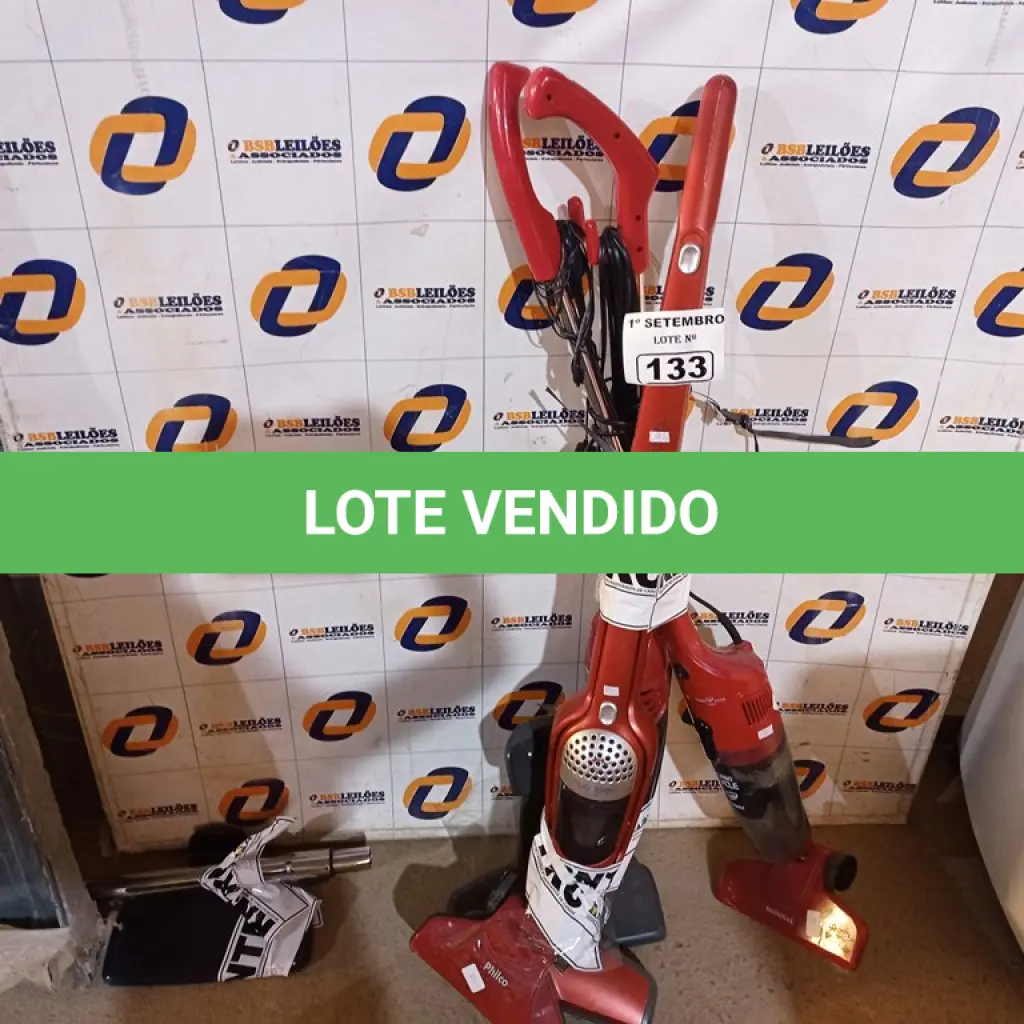 LOTE 133