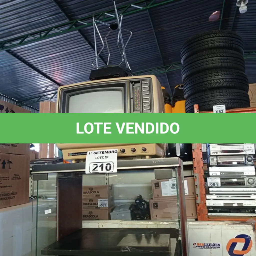 LOTE 210