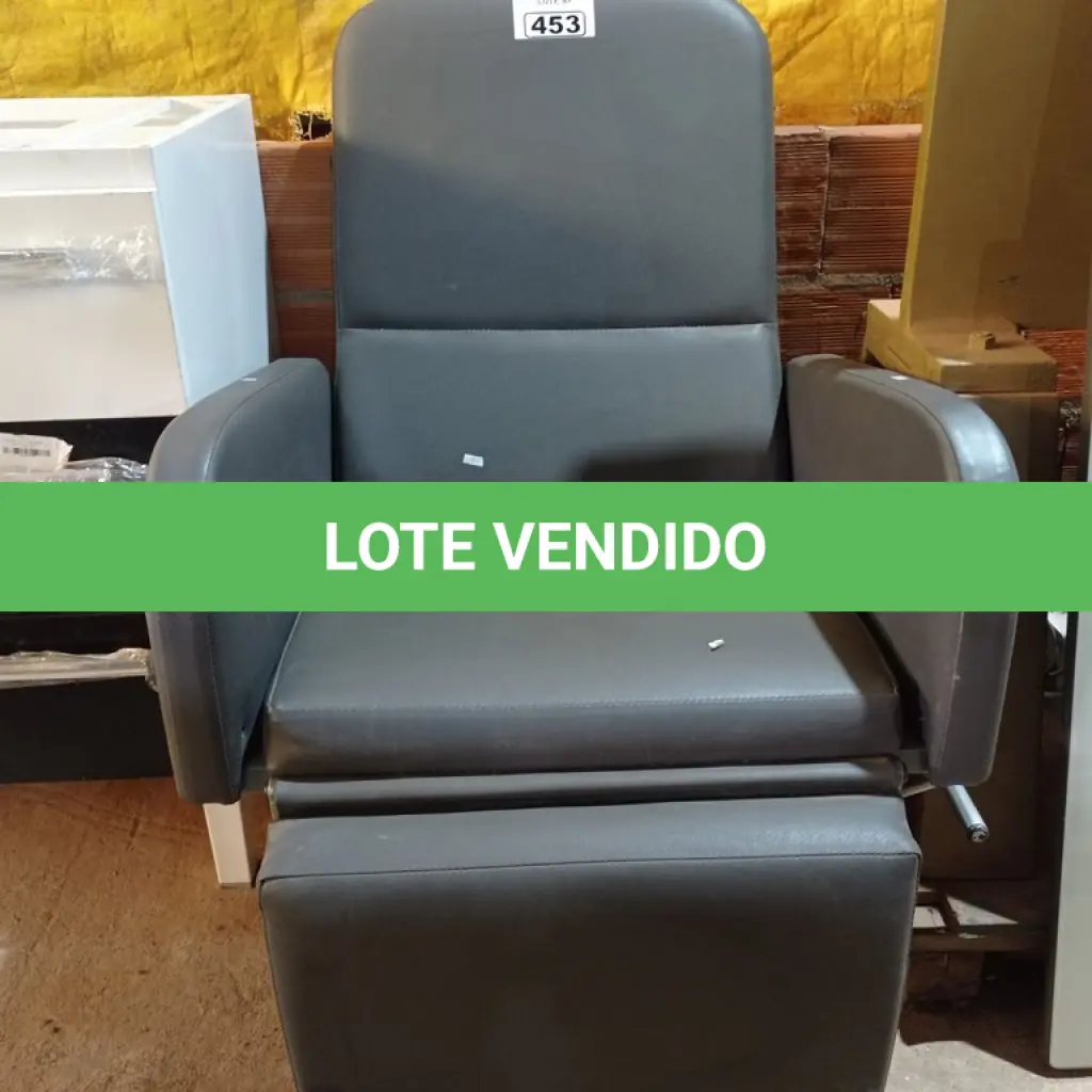 LOTE 453