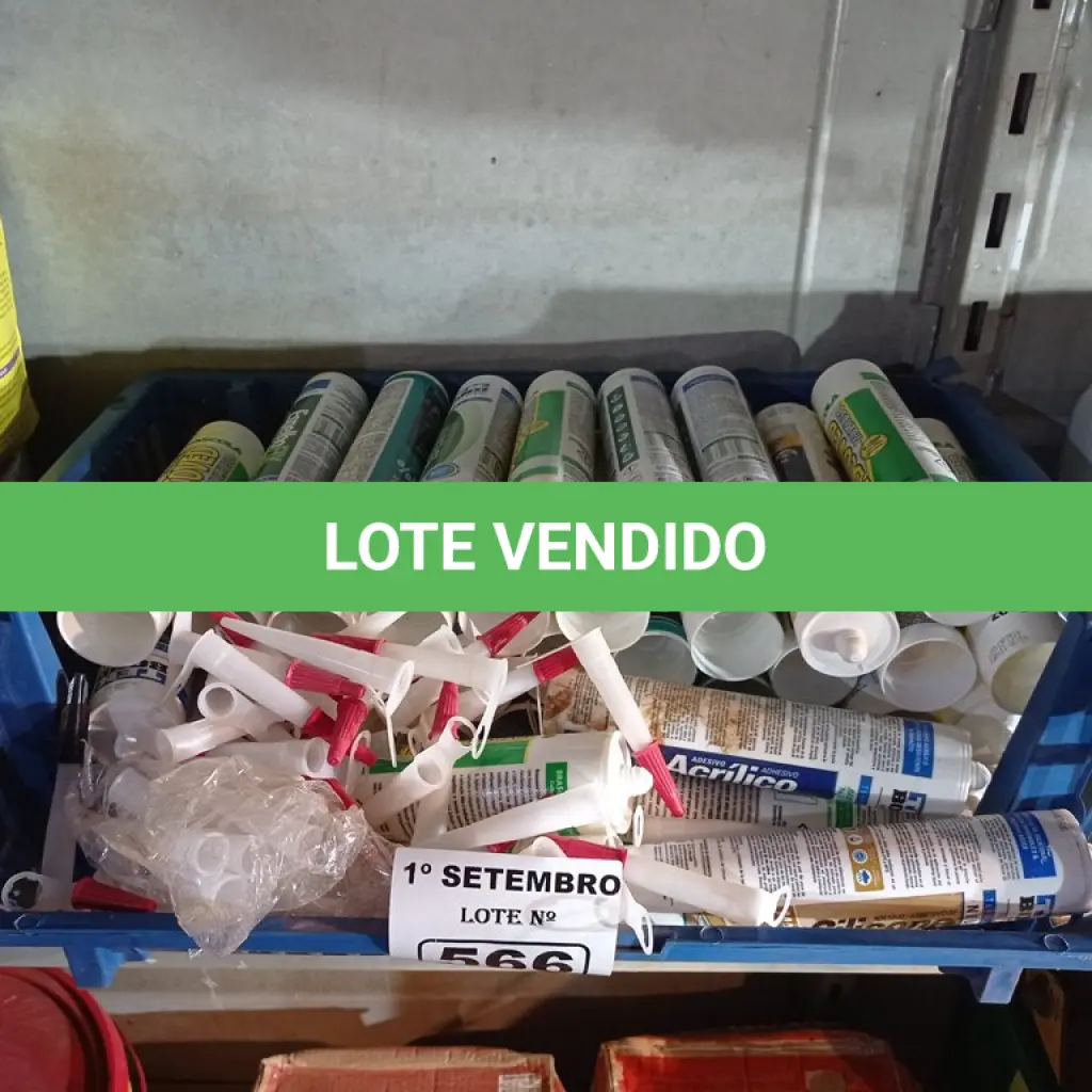 LOTE 566