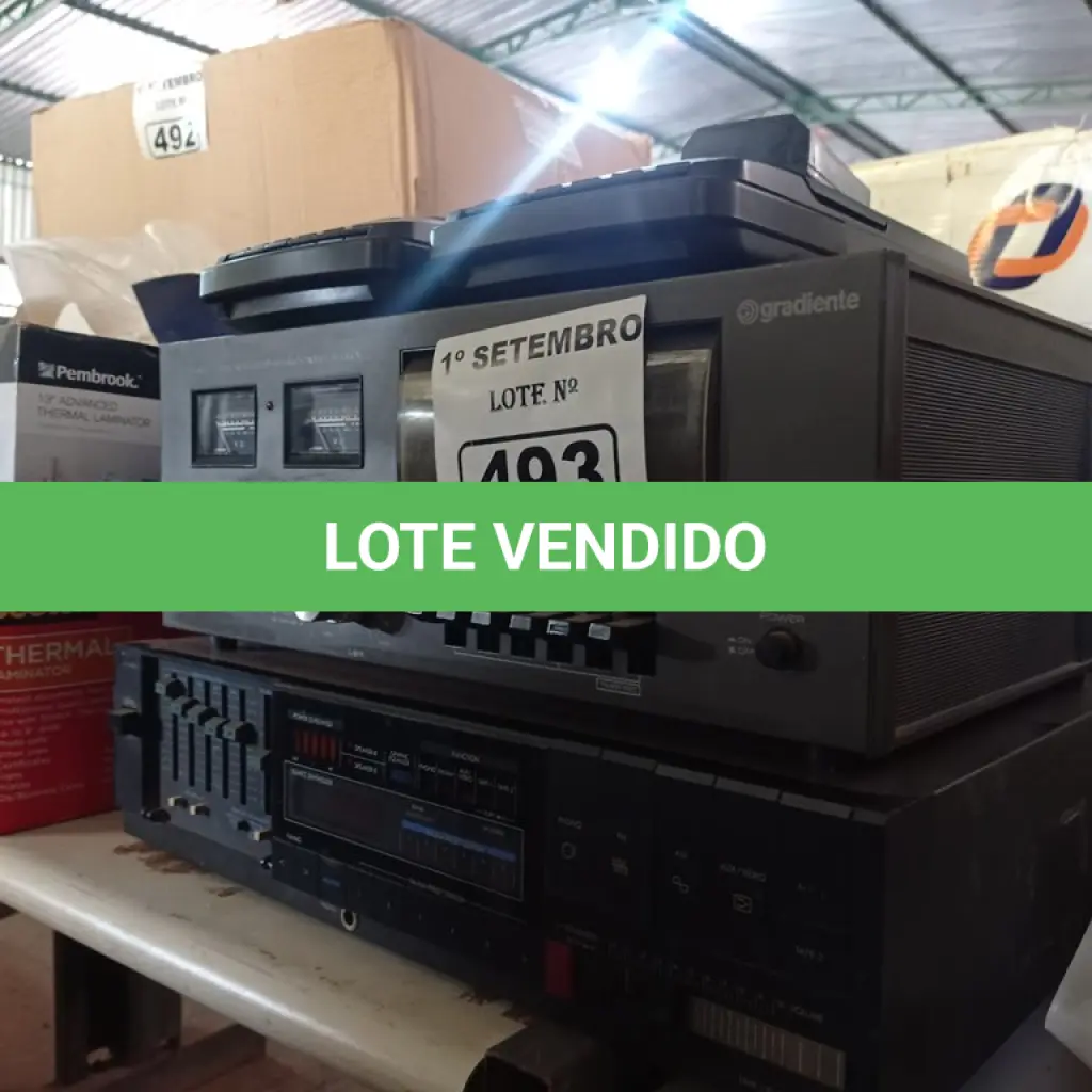 LOTE 493
