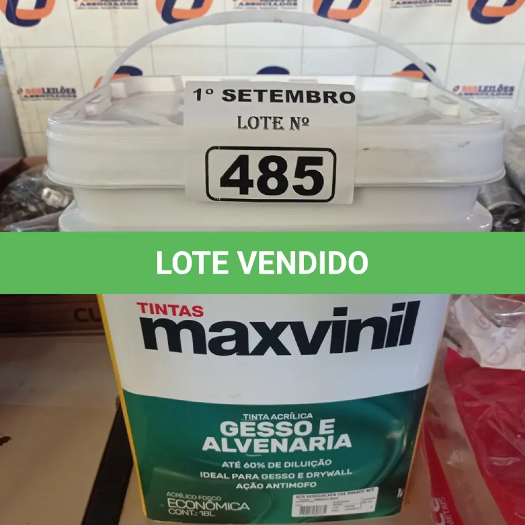 LOTE 485