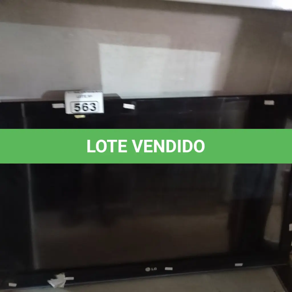 LOTE 563