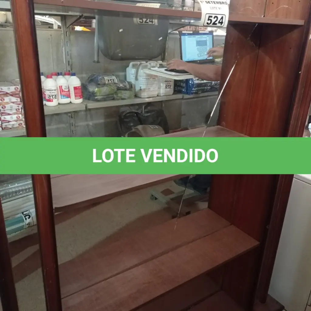 LOTE 524