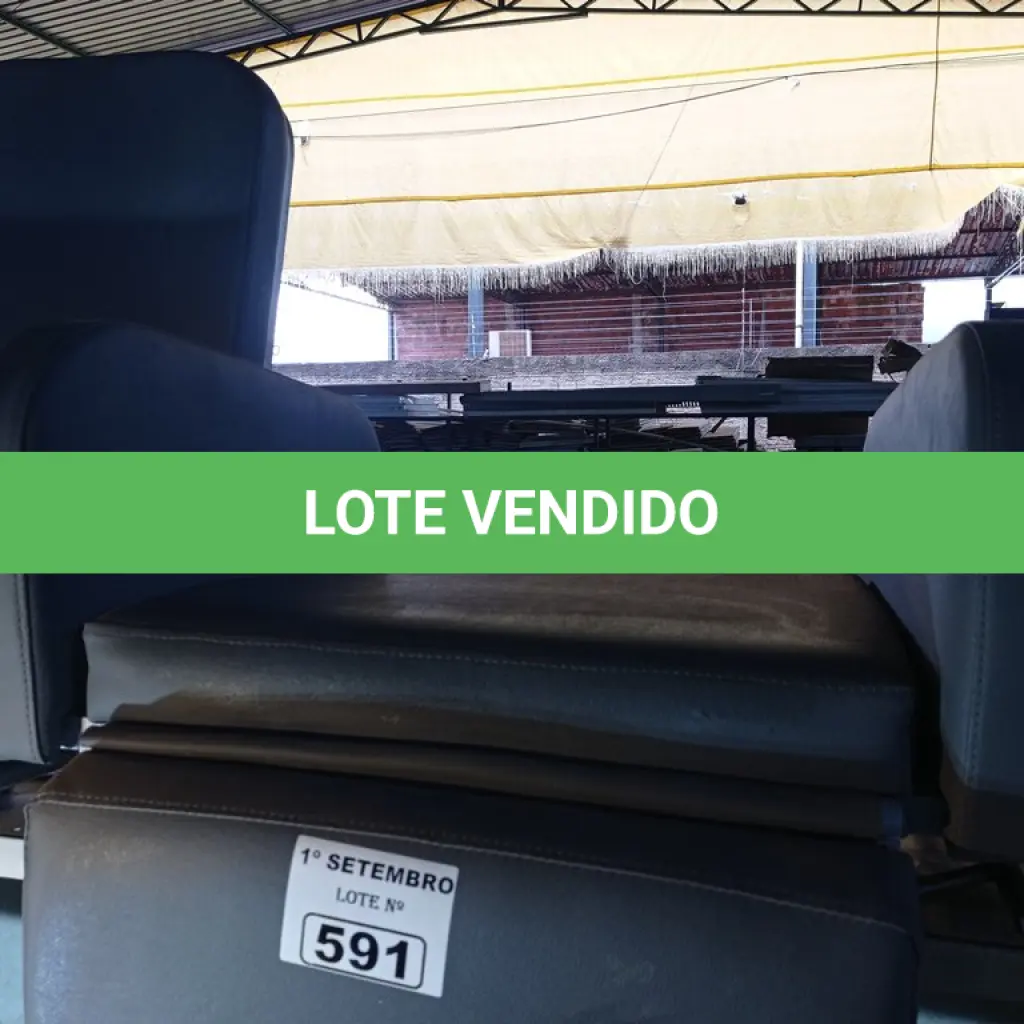 LOTE 591