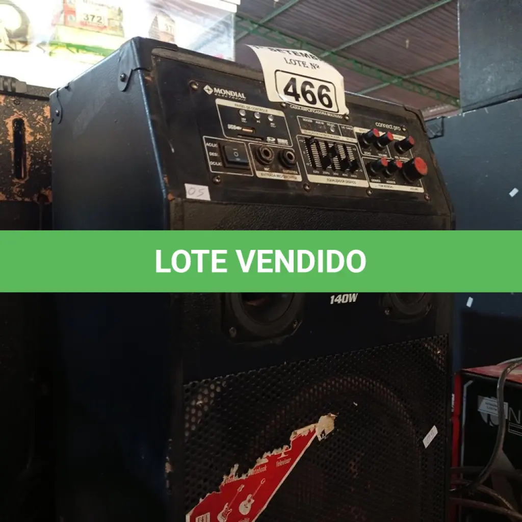 LOTE 466