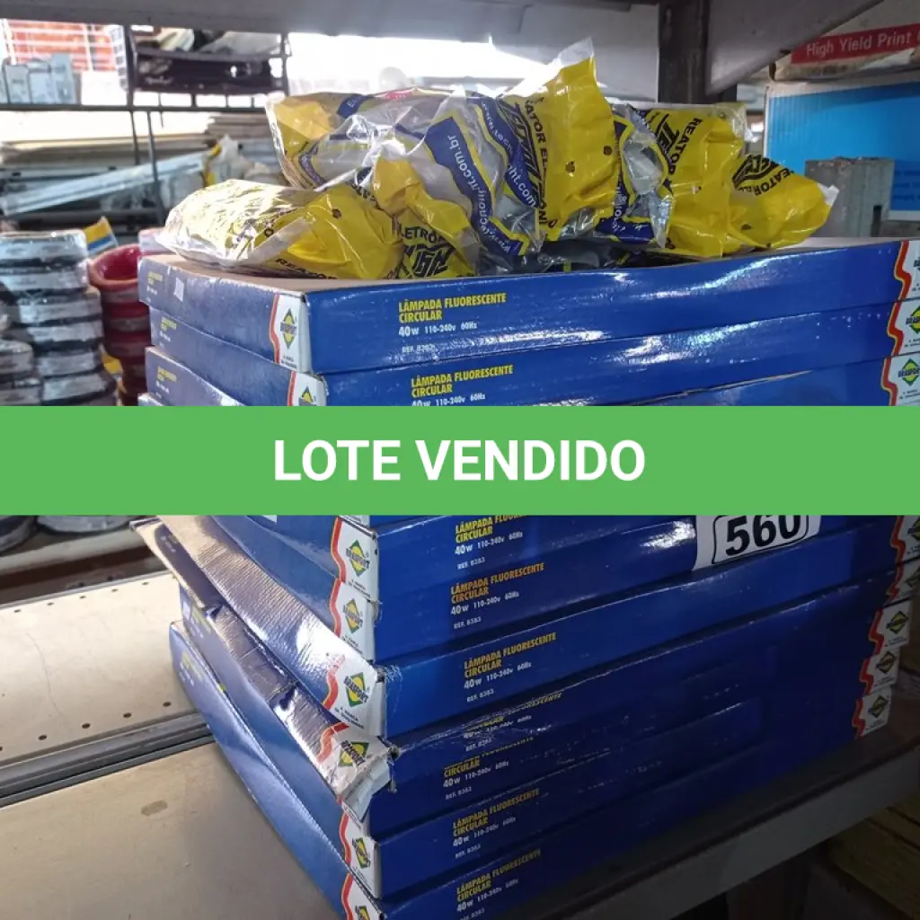LOTE 560