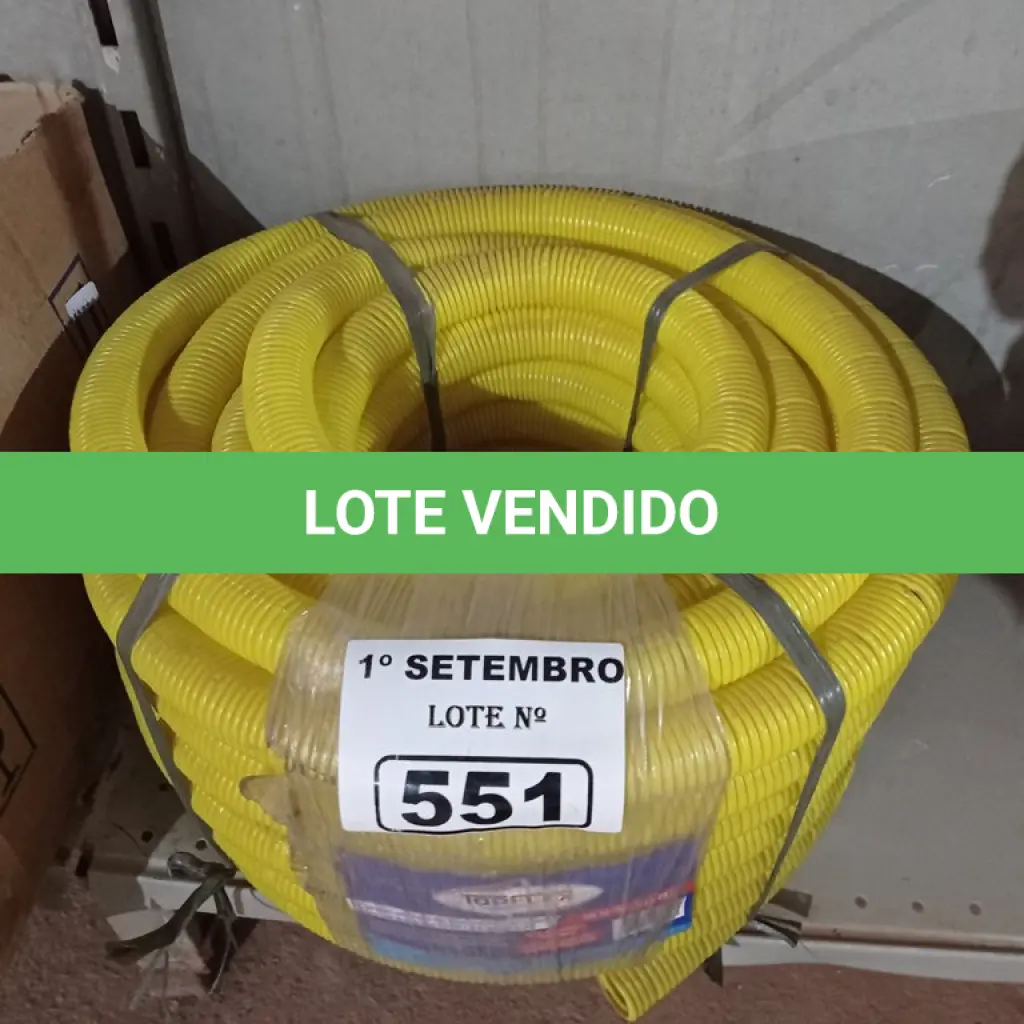 LOTE 551