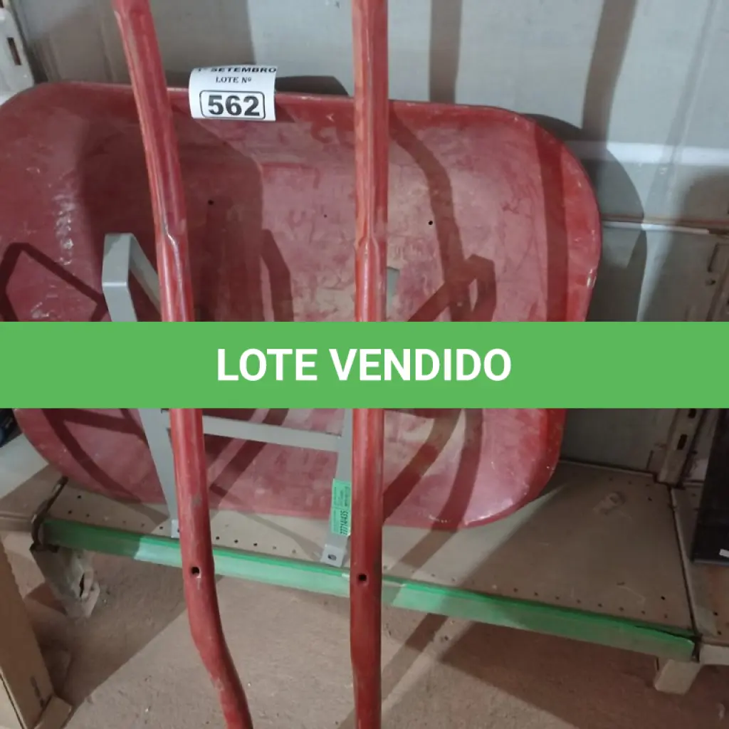 LOTE 562
