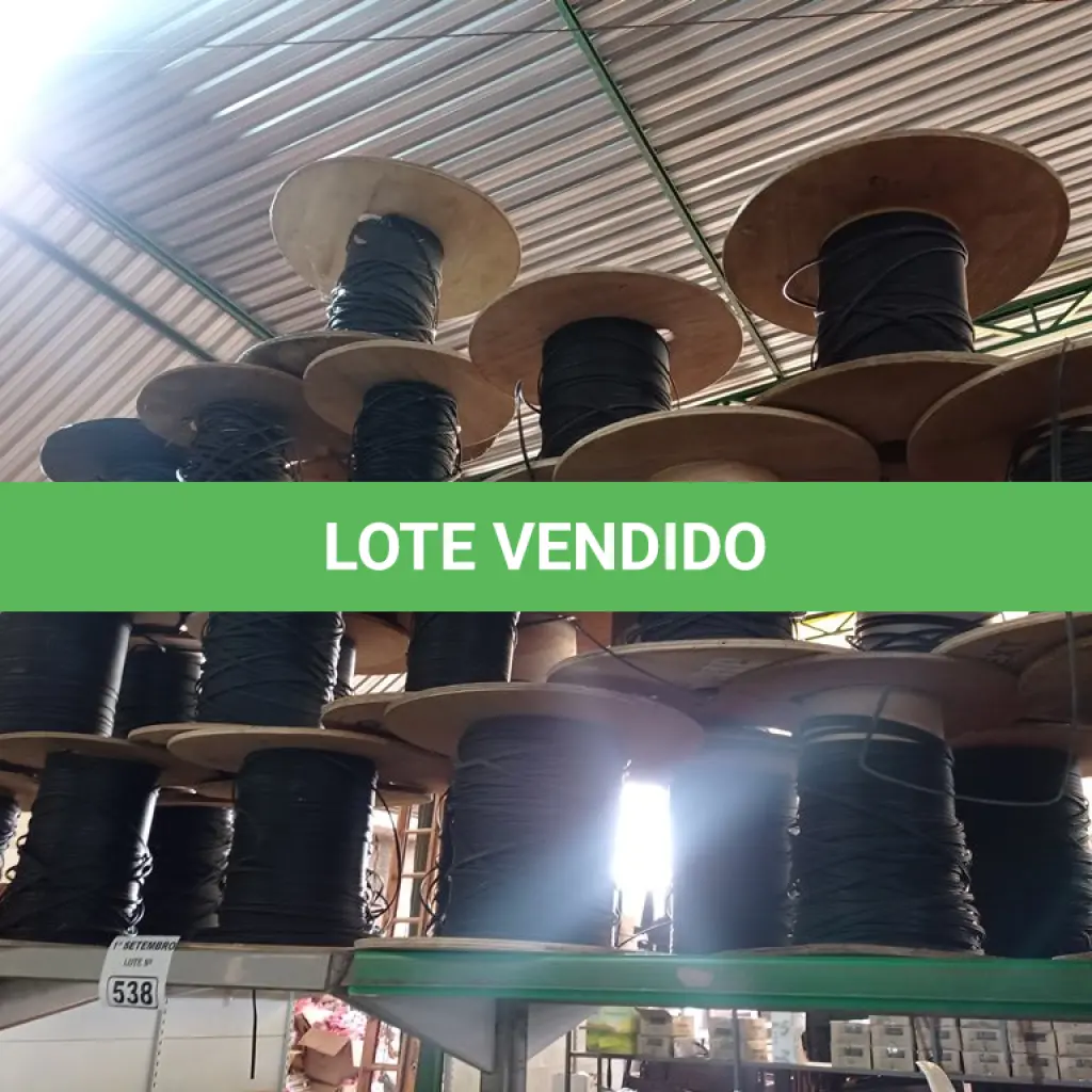LOTE 538