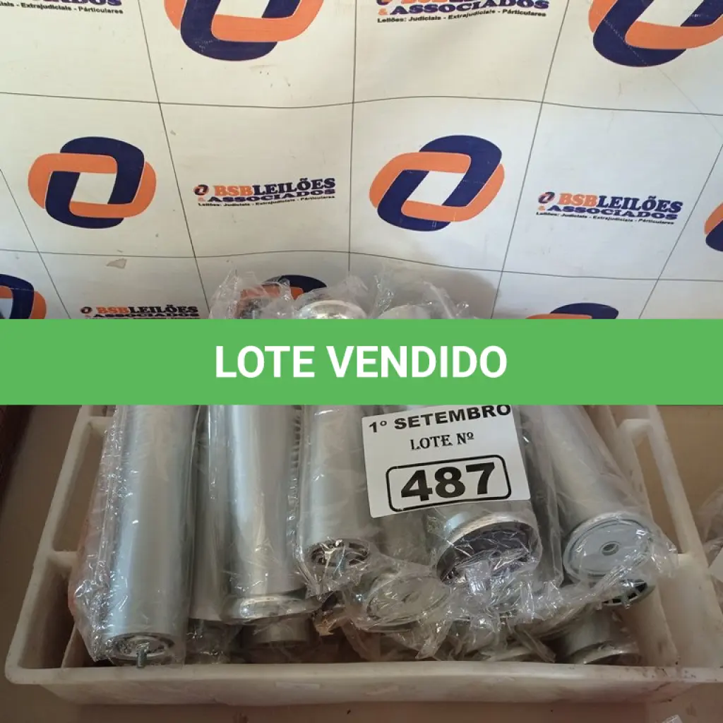 LOTE 487