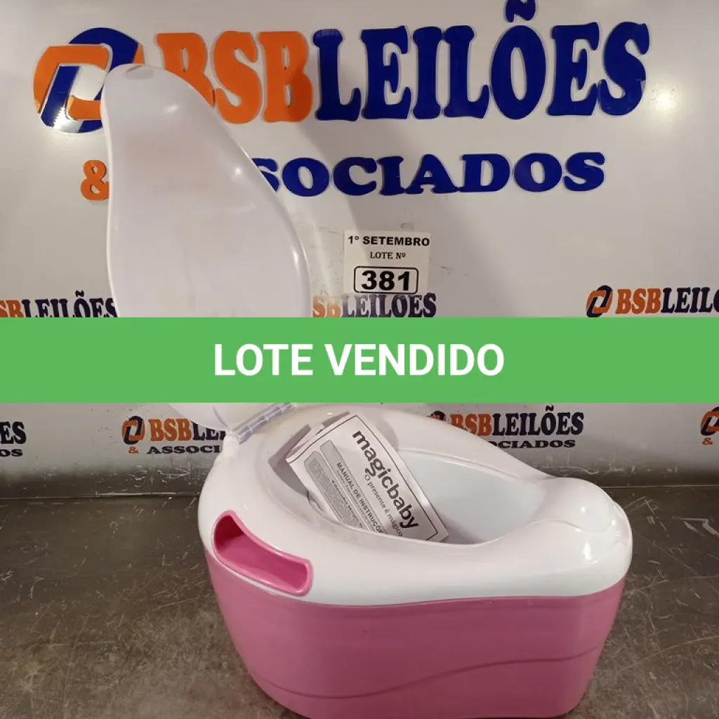 LOTE 381