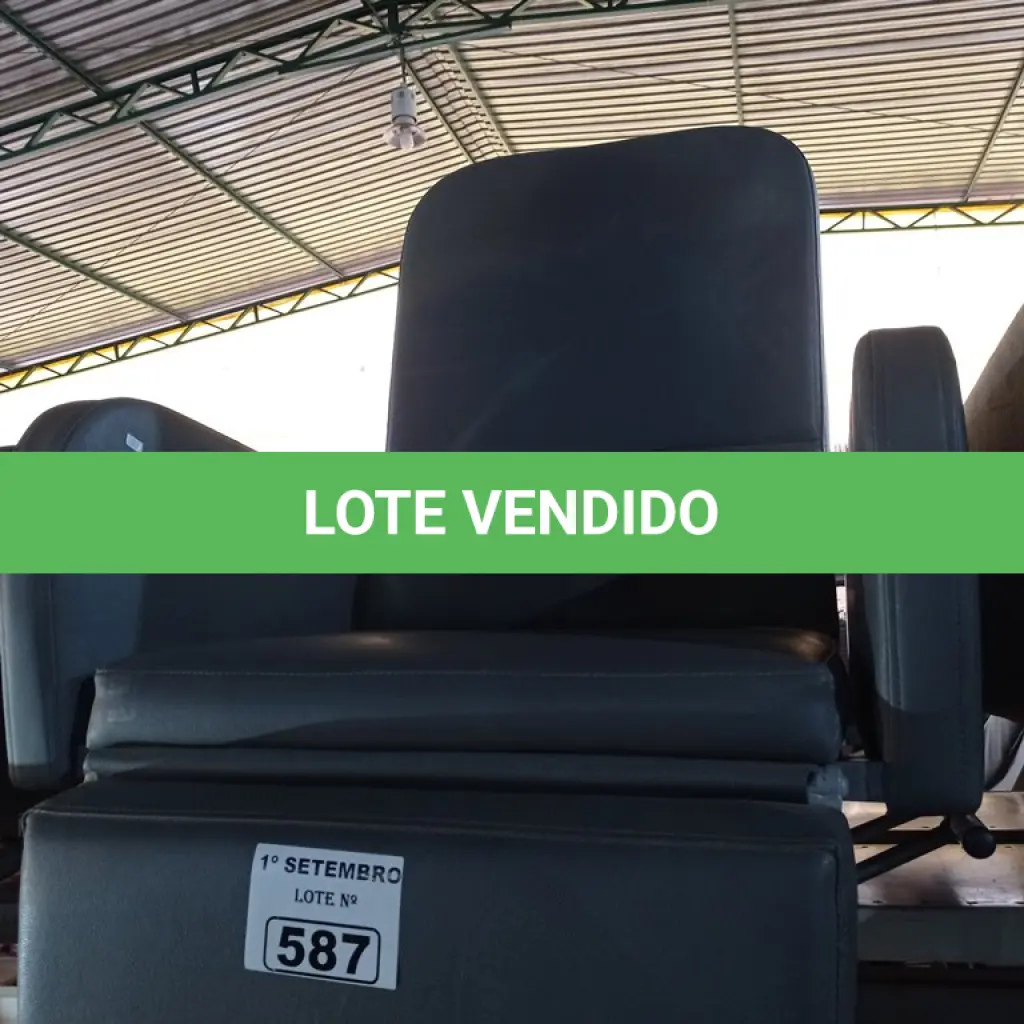 LOTE 587