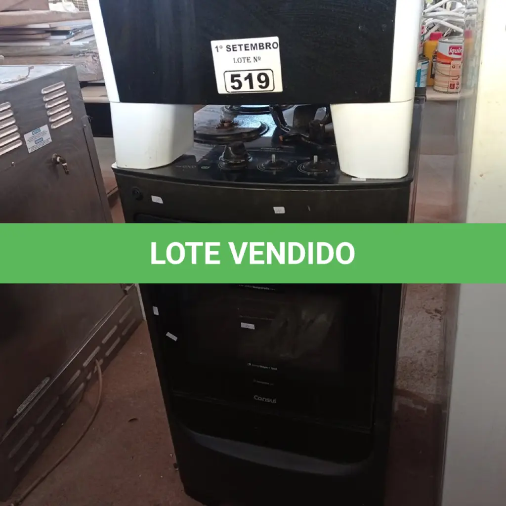 LOTE 519