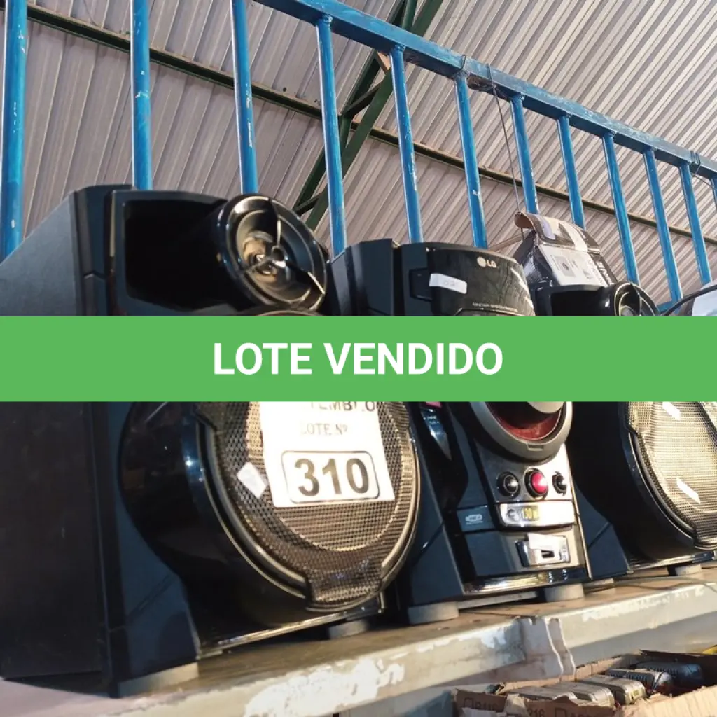 LOTE 310