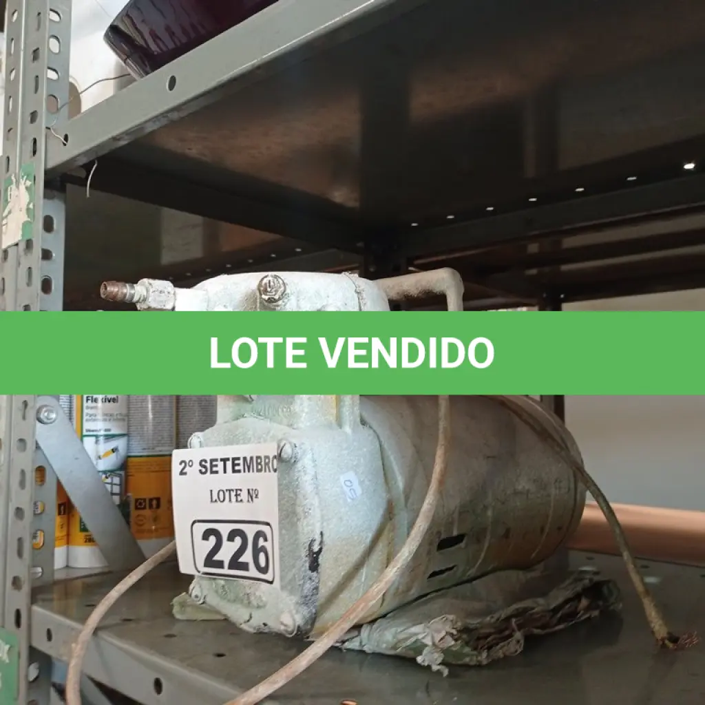 LOTE 226