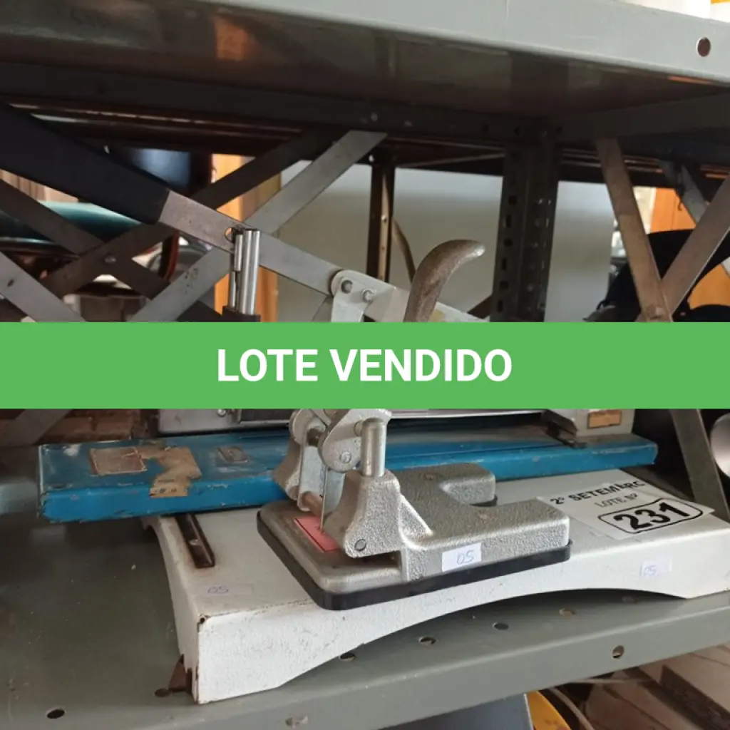 LOTE 231